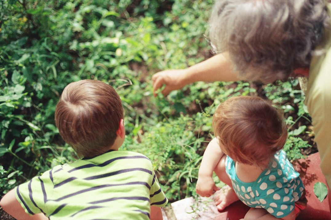 grandparents with grandchildren playing